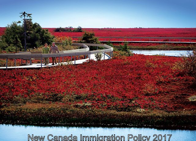Changes in Canadian Immigration Policy will prove to be better for the Canadians
