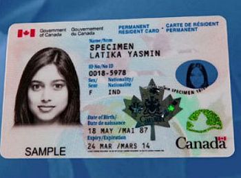 Expired Canada Maple Leaf Card