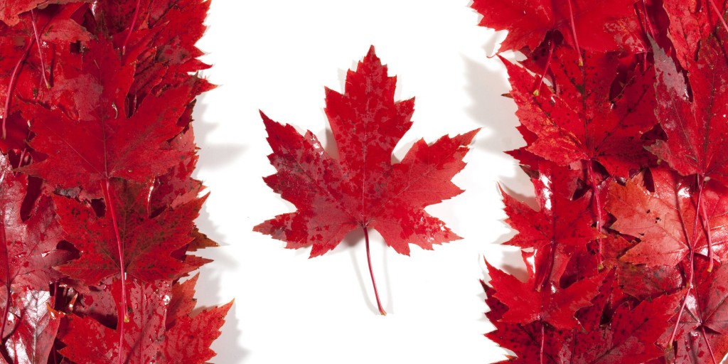 There are different Categories of Visas for Canada, which one is right for you