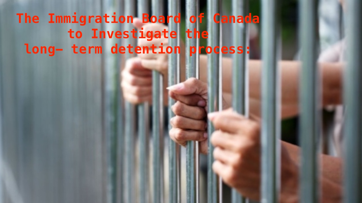 The Immigration Board of Canada to Investigate the long- term detention process: