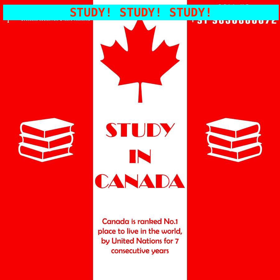 What Makes Canada a Popular Student Destination?