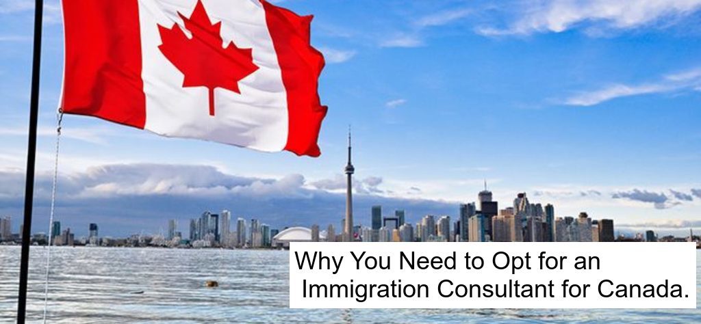 Why You Need to Opt for an Immigration Consultant