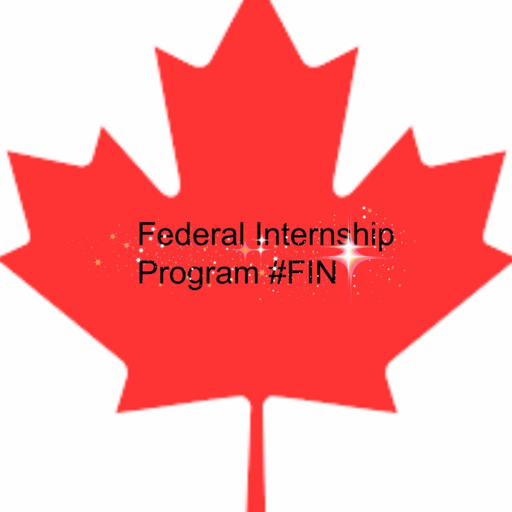 Get Benefited from Federal Internship for Newcomers