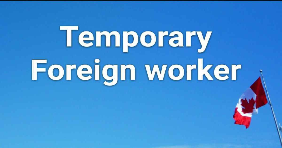 Reason for Drastic Change in Number of Temporary Workers in Canada