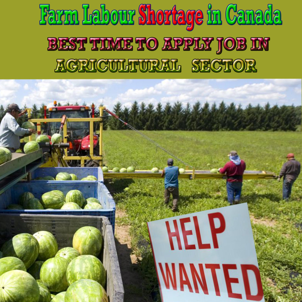 farm labour shortage in Canada