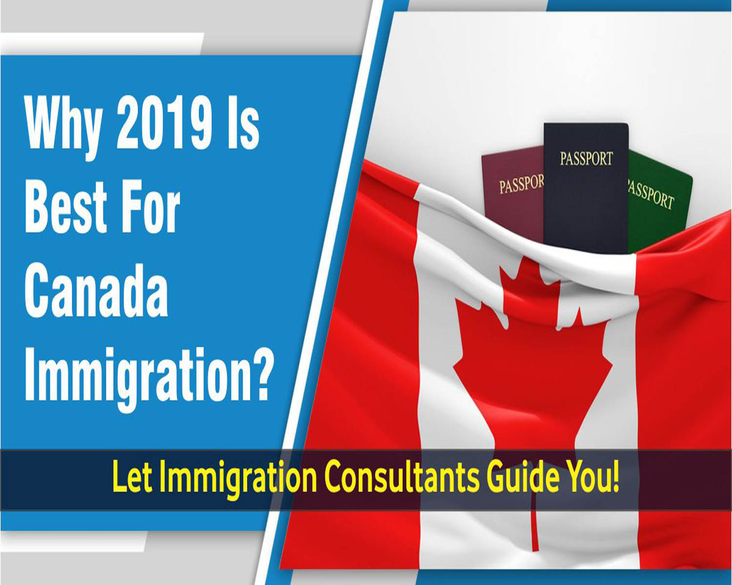 Immigration Consultants 