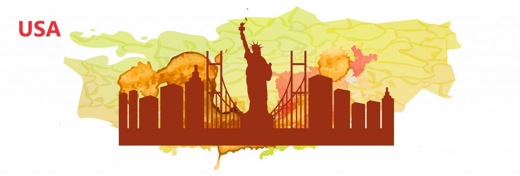 what-is-l1b-visa-and-how-much-time-does-a-consulate-normally-take-for