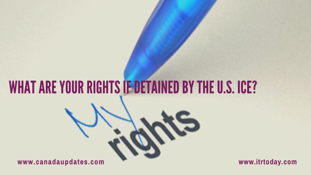 Your Rights If Detained by the U.S. ICE 1