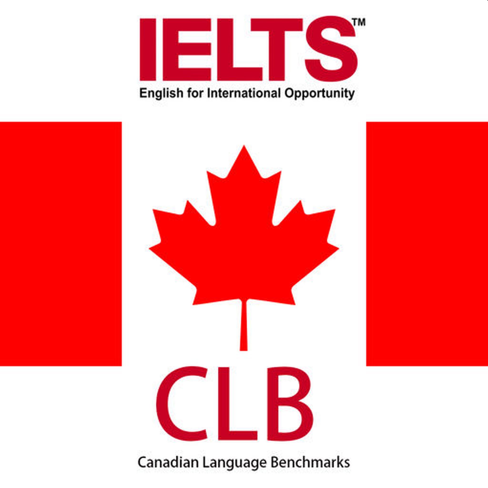 Can An Immigration Applicant Apply For A Work Permit Based On Academic