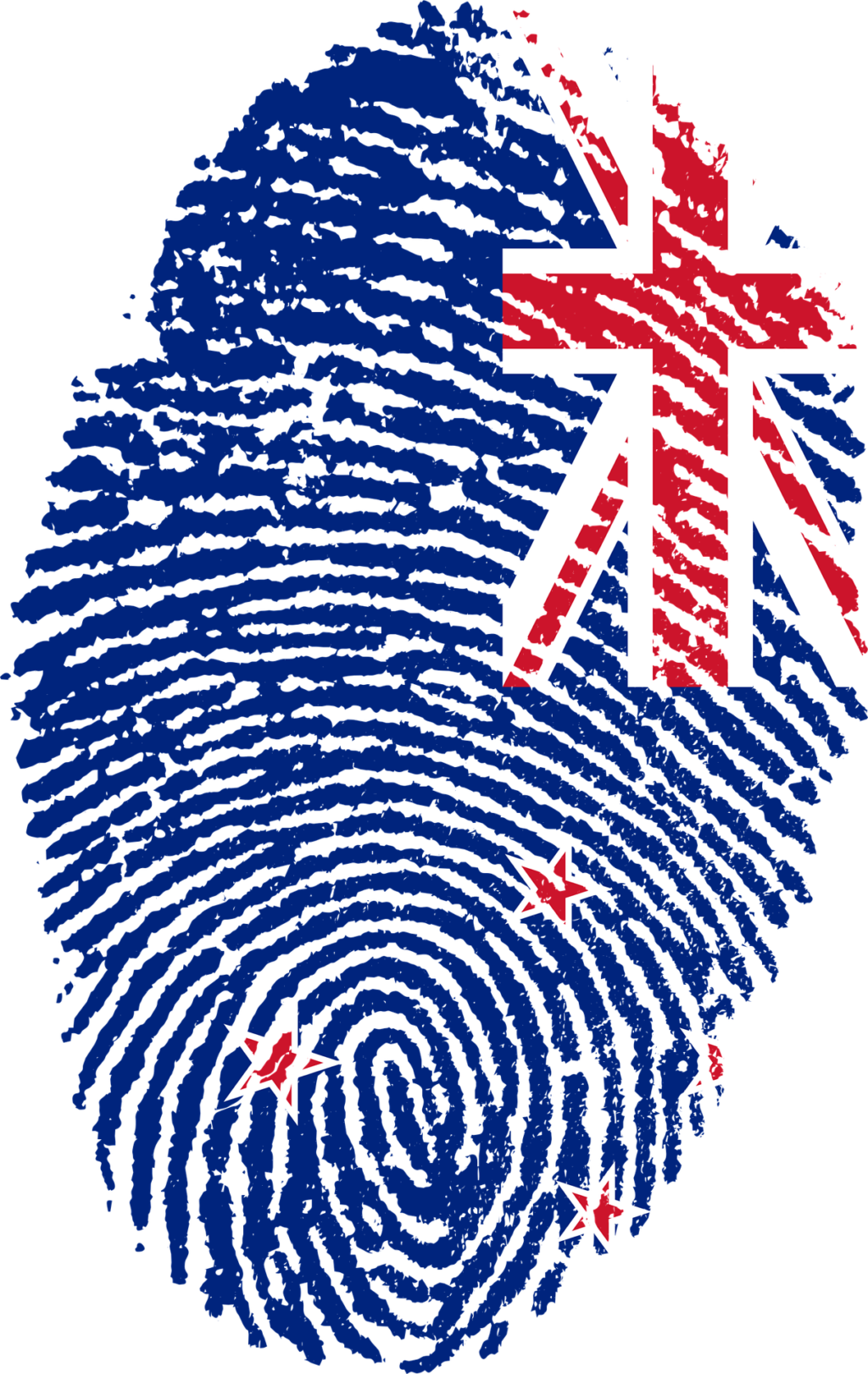 New zealand immigration process