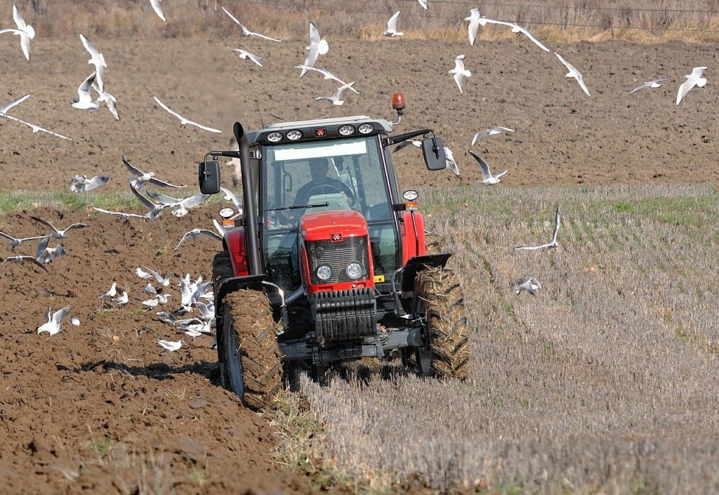 Canada calls for agro-workers for new citizenship program