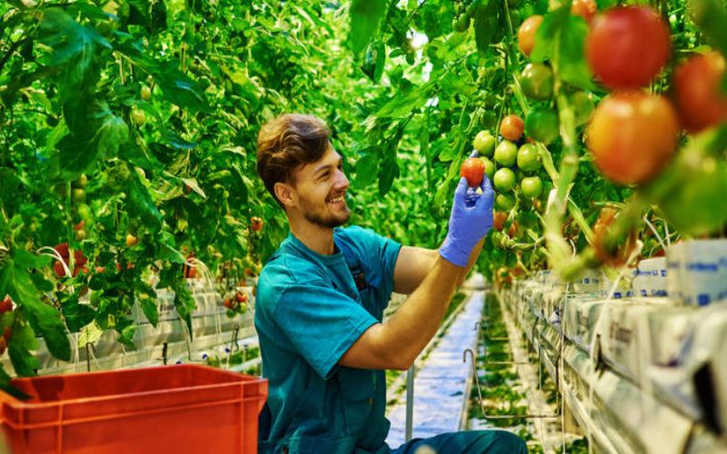 Career in Agriculture in Canada