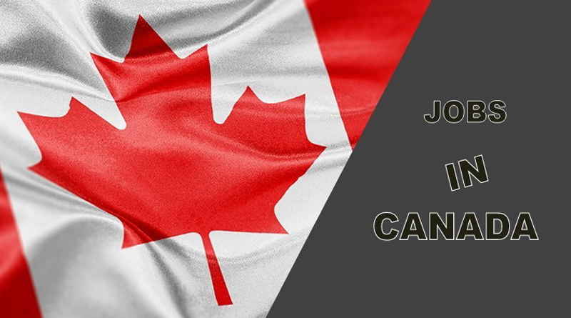 How To Find Perfect Professional Contacts For Getting Jobs in Canada?
