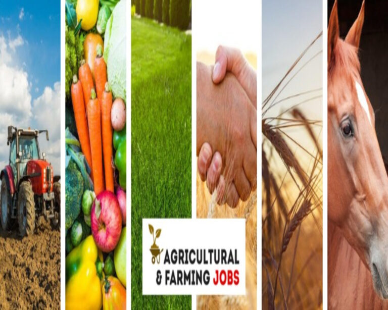 Many Opportunities If You Have to Make a Career in FarmBased Jobs in