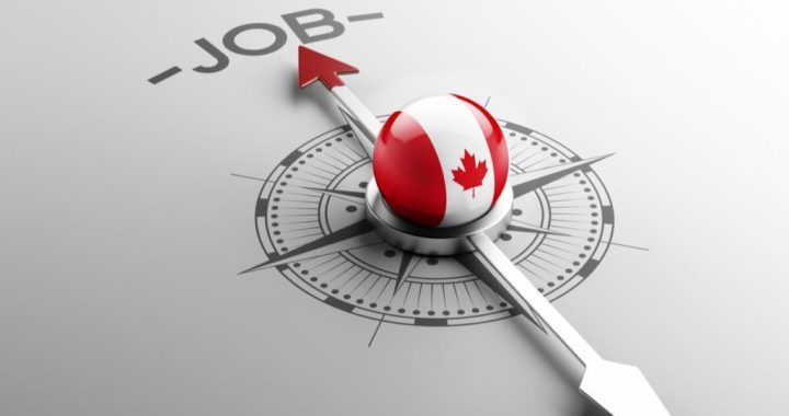 Recent Labour Data States a High Rate of Employment for Immigrants in Canada