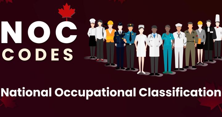 16 New Occupations to the NOC List for Permanent Residency of Immigrants